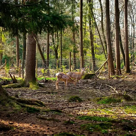 Vandrarhem Stayokay *
