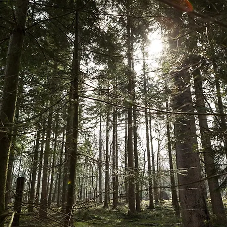 Stayokay Hostel Apeldoorn