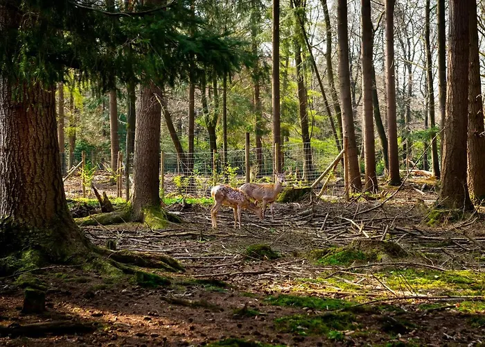 Albergue Stayokay - Fully Renovated March 2026 *