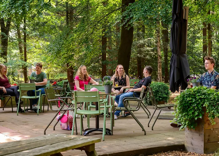 Stayokay - Fully Renovated March 2026