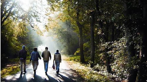 Hostal Stayokay - Fully Renovated March 2026 *