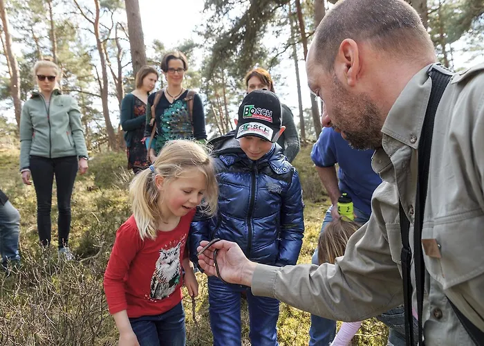 Stayokay - Fully Renovated March 2026 Apeldoorn