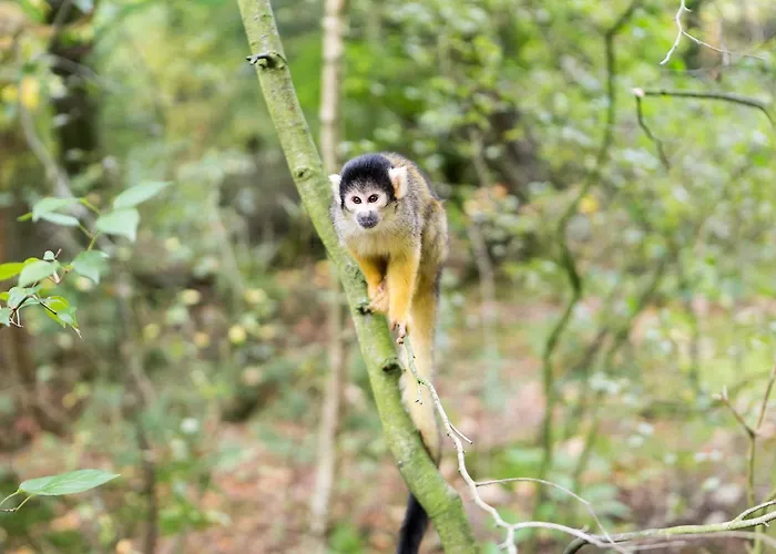 Albergue Stayokay - Fully Renovated March 2026 *