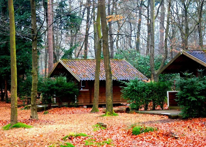 Stayokay - Fully Renovated March 2026 *