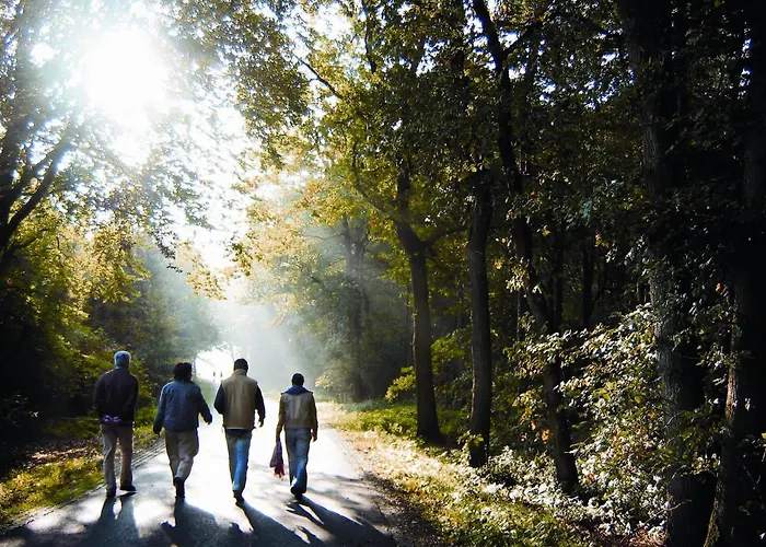 Hostel Stayokay - Fully Renovated March 2026