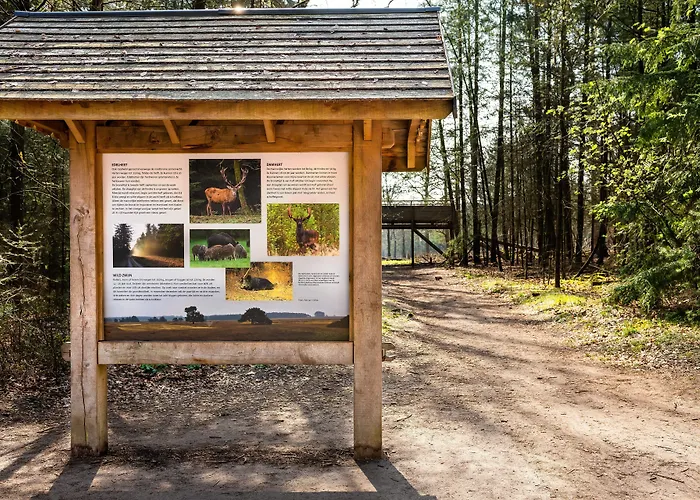 Stayokay - Fully Renovated March 2026 Апелдорн