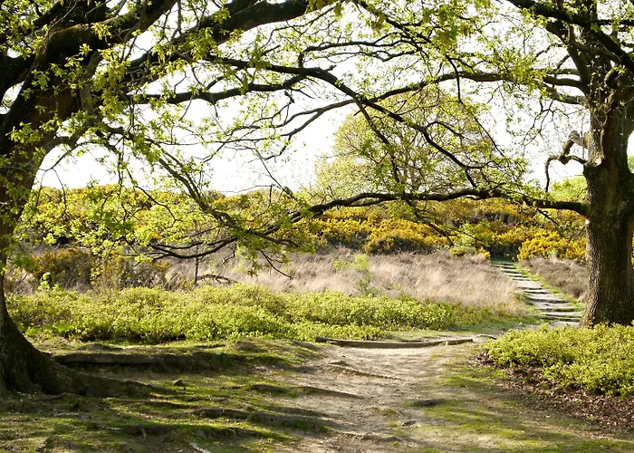 호스텔 Stayokay - Fully Renovated March 2026 *