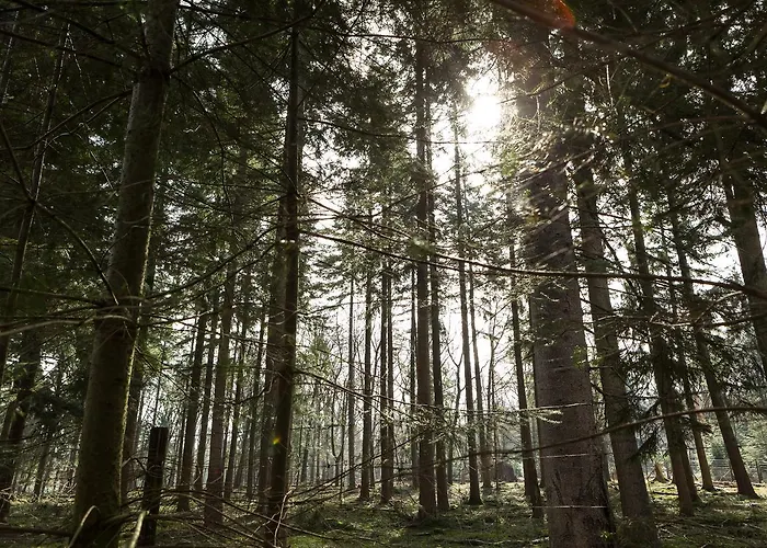 Stayokay - Fully Renovated March 2026 호스텔 아펠도른